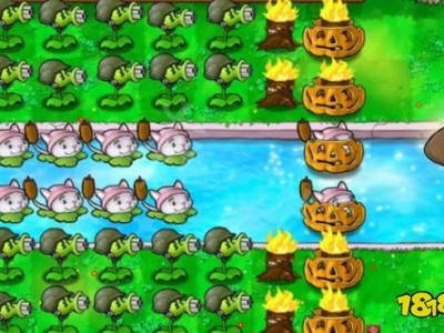 植物大战僵尸2010年度版坚不可摧攻略的简单介绍