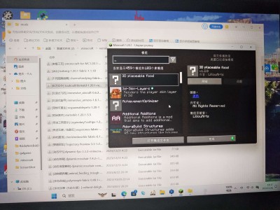 【求助】整合包里加的模组不显示游戏攻略_手游下载