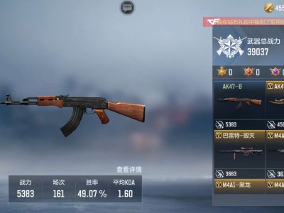 为什么我的武器没有显示排名呢？怎么回事游戏攻略_手游下载