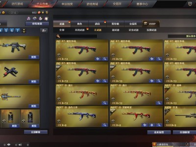cf灵动武士属性_cf灵动武士属性端游