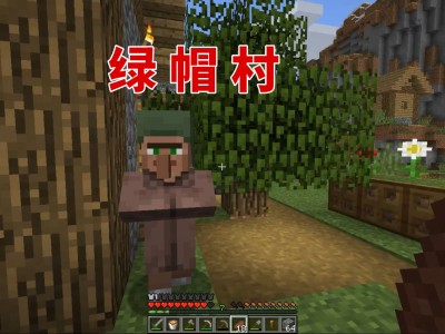 我的世界1.17正式版(我的世界117正式版模组下载器中文版)