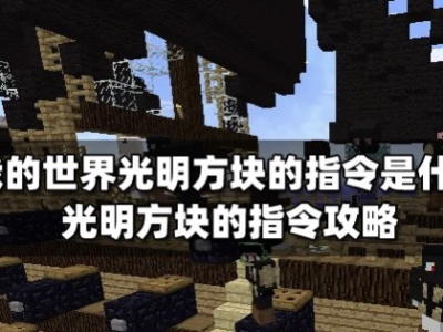 【MC爆肝组实习】我的世界光明方块的指令是什么 光明方块的指令攻游戏攻略_手游下载