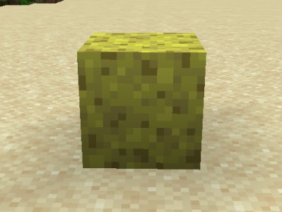 【MC教程组】海绵的作用是可以把水变成空气游戏攻略_手游下载
