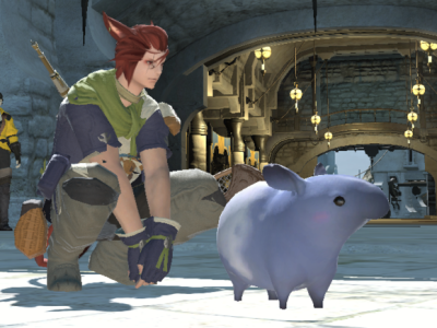 ff14冒险者小队(ff14冒险者小队怎么开)