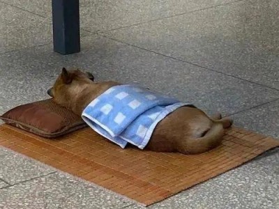 【交流】该练哪些角色？游戏攻略_手游下载