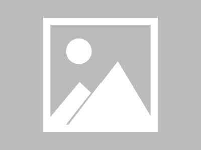 【手游推荐】动物森友会：口袋露营广场游戏攻略_手游下载