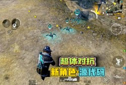 怎么进和平精英体验服官网(如何进和平精英体验服?)