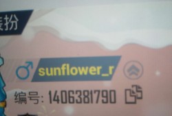 和平精英赞力值游戏攻略_手游下载