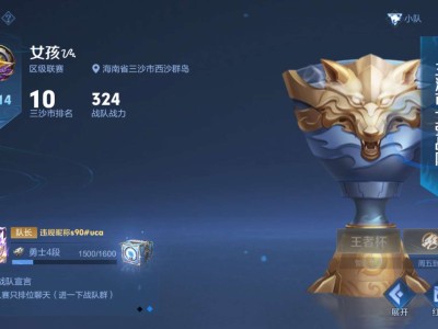 ［闲聊］新赛季市级战队招人啦，v10多多仙女多多游戏攻略_手游下载