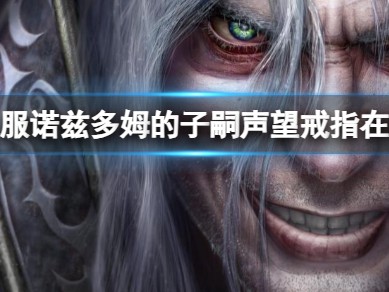 【游戏攻略】《魔兽世界》乌龟服诺兹多姆的子嗣声望戒指换取位置游戏攻略_手游下载