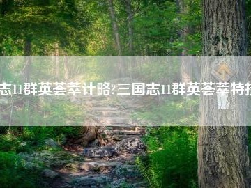 三国志11群英荟萃_三国志11群英荟萃贴吧