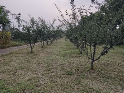 【中秋探月】游戏攻略_手游下载