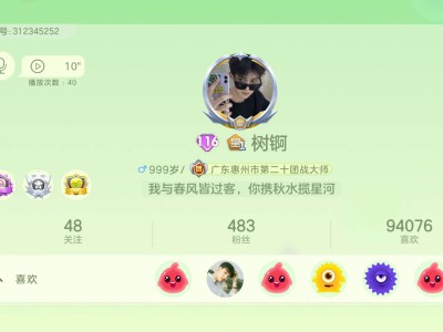 找个教我打花试的游戏攻略_手游下载
