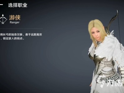 黑色沙漠职业，黑色沙漠职业技能展示
