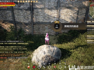 黑色沙漠忍者，黑色沙漠忍者技能