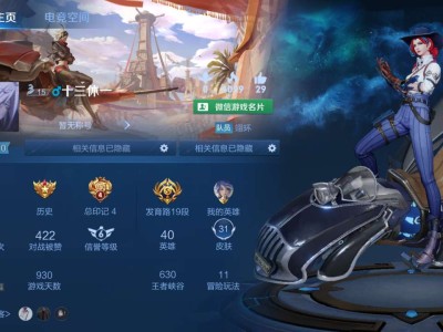 来个双排队友游戏攻略_手游下载