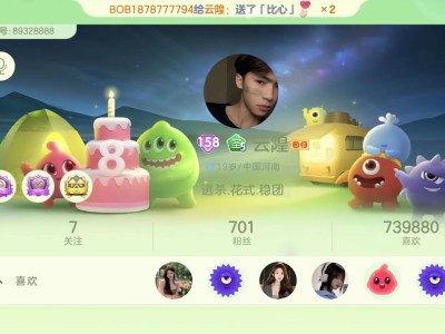 找队友长期的那种游戏攻略_手游下载