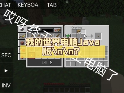 我的世界官网怎么调中文，我的世界官网怎么调中文语音