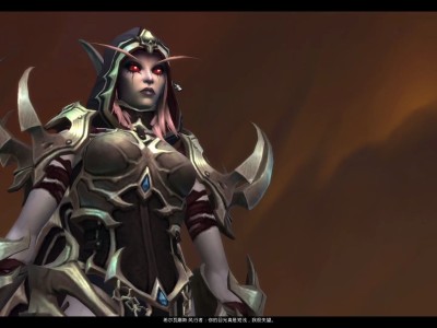 魔兽世界暗影国度专业技能_魔兽世界暗影国度操作简单的职业