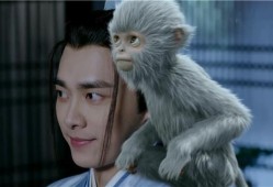 青云志3拍了没(青云志3主演是谁)