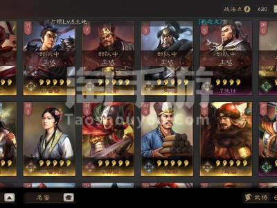 三国志战略版九游是什么意思(三国志战略版九游是什么意思啊)