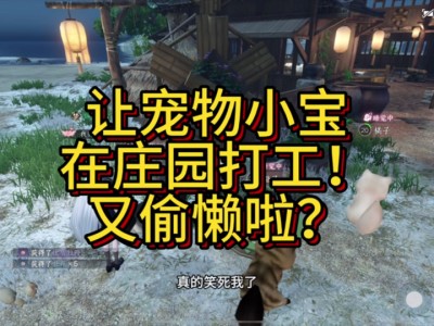 逆水寒皮皮寒买橘子_逆水寒买橘子给皮皮寒