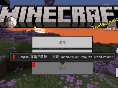 【求助】求助 用辅助器进入显示这个是怎么回事游戏攻略_手游下载