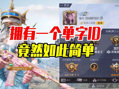 和平精英名字id(和平精英名字ID繁体字)