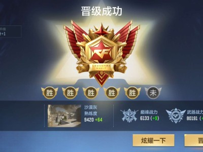 【闲聊】最后一天竟然打过了晋级赛游戏攻略_手游下载
