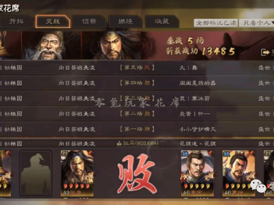 三国志新解哪里可以看_三国志新解释在哪里可以看