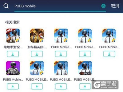 和平精英国际服苹果版下载_和平精英国际服苹果版下载安装免费