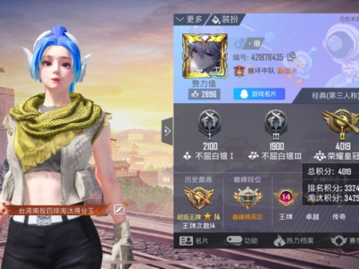 吃鸡找搭子游戏攻略_手游下载