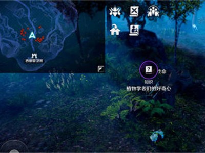 黑色沙漠隐藏的东西，黑色沙漠隐藏攻击力奖励