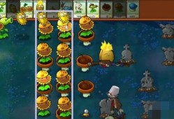 【游戏攻略】植物大战僵尸杂交版冒险模式第6关攻游戏攻略_手游下载