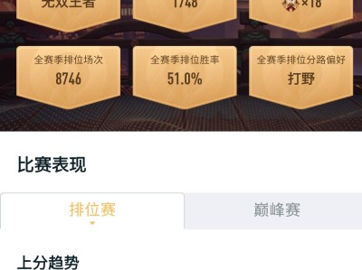 【交流】上不了荣耀王者，野王游戏攻略_手游下载