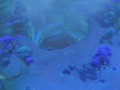 原神2.4渊下宫_渊下宫钥匙