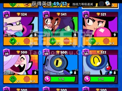 荒野乱斗私人服(荒野乱斗私人服19赛季)