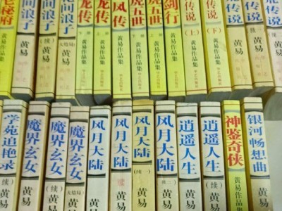 九阴九阳小说阅读_九阴九阳小说阅读网