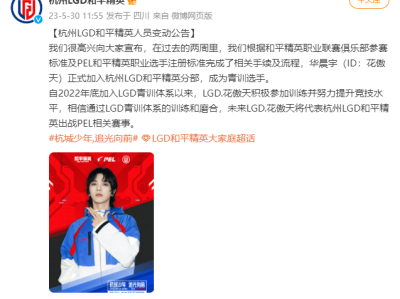 【搬砖】PEL和平精英职业联赛游戏攻略_手游下载