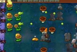 【游戏攻略】植物大战僵尸杂交版冒险模式第5关攻游戏攻略_手游下载