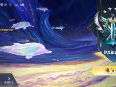 【交流】尊贵铂金小蔡有没有大哥带带游戏攻略_手游下载