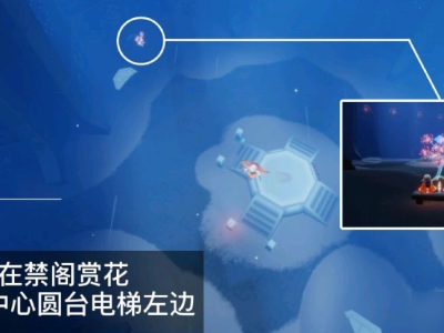 光遇墓土赏花要多久，光遇墓土赏花要多久才能完成