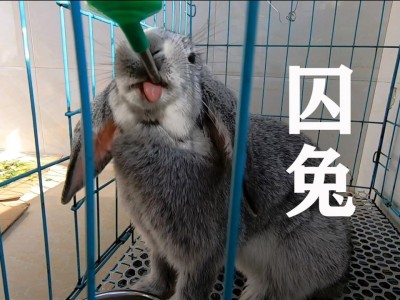 荒原叔，香肠派对荒原叔