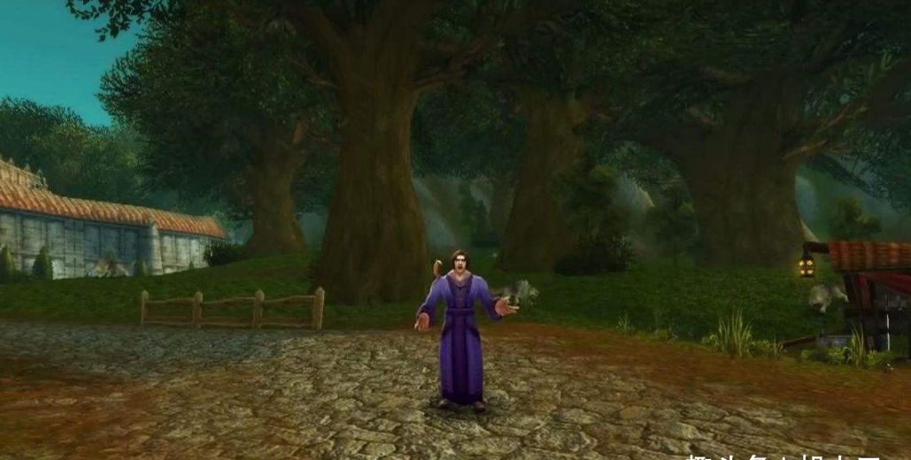 魔兽世界怀旧服燃烧的远征宗师采药_魔兽世界怀旧服燃烧的远征采药在哪学  第1张