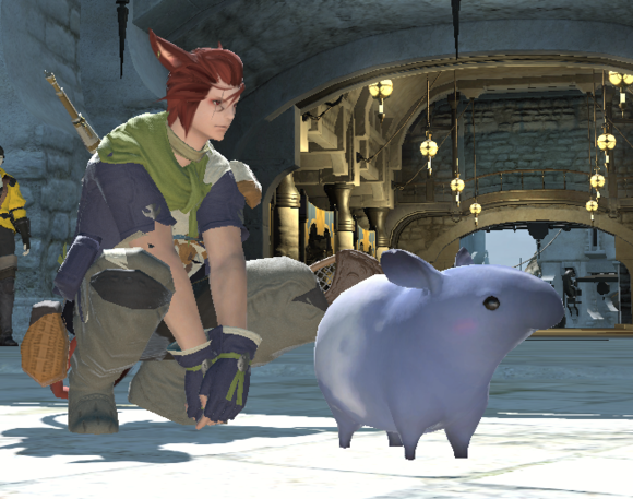 ff14冒险者小队(ff14冒险者小队怎么开)  第1张