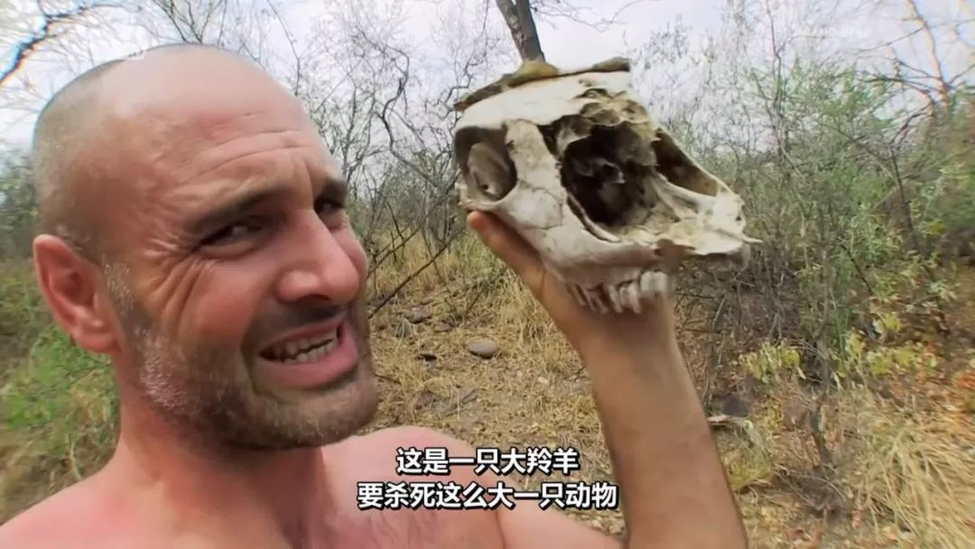 关于荒野求生21天有没码播放源的信息  第2张