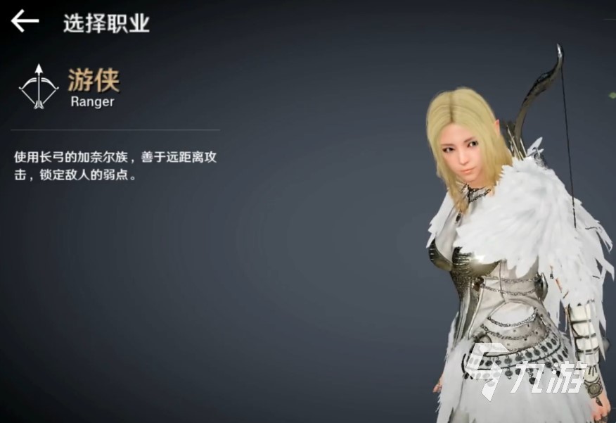 黑色沙漠职业，黑色沙漠职业技能展示  第1张