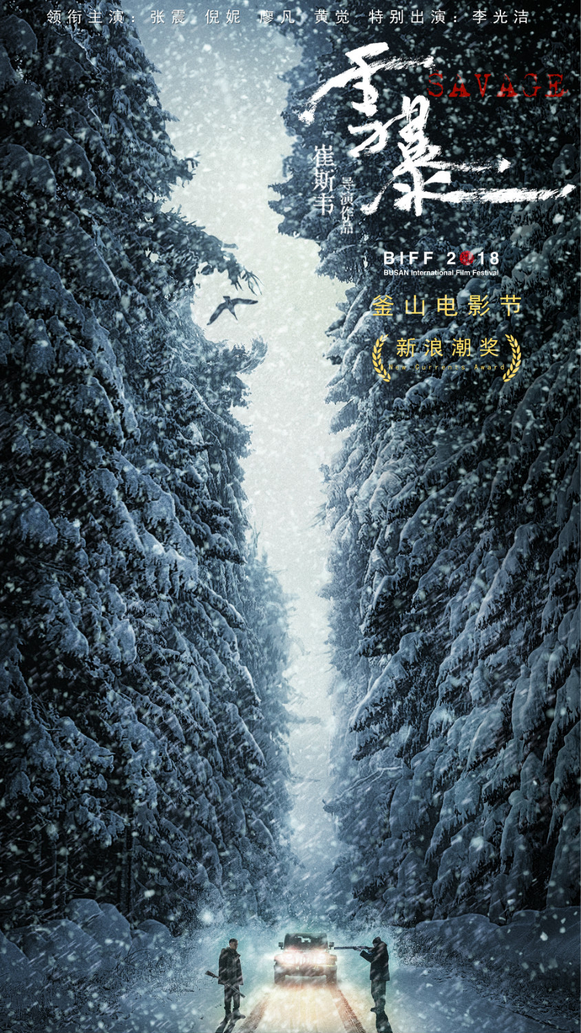 雪暴(雪暴豆瓣)  第1张