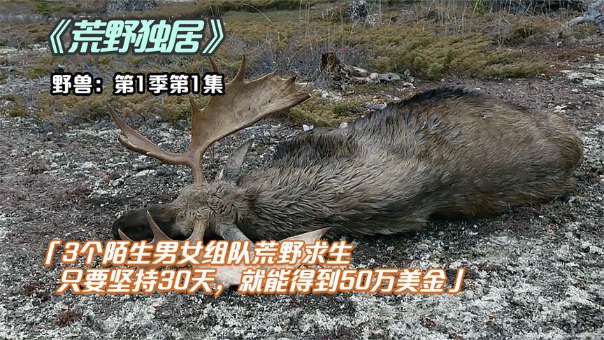 荒野求生186陌生男女_荒野求生陌生男女搭档是哪一集  第2张