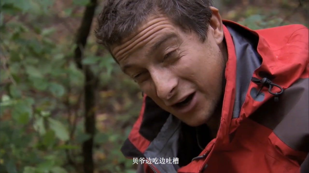 荒野求生男女挑战原始森林(荒野求生男女挑战原始森林是什么节目)  第1张